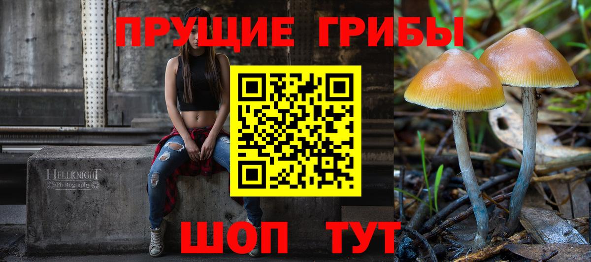 сколько стоит  Нефтекумск  Псилоцибиновые грибы мухоморы 