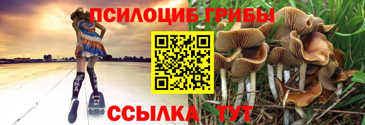 Галлюциногенные грибы ЛСД  Вход с VPN  Псилоцибиновые грибы мицелий  Нефтекумск 