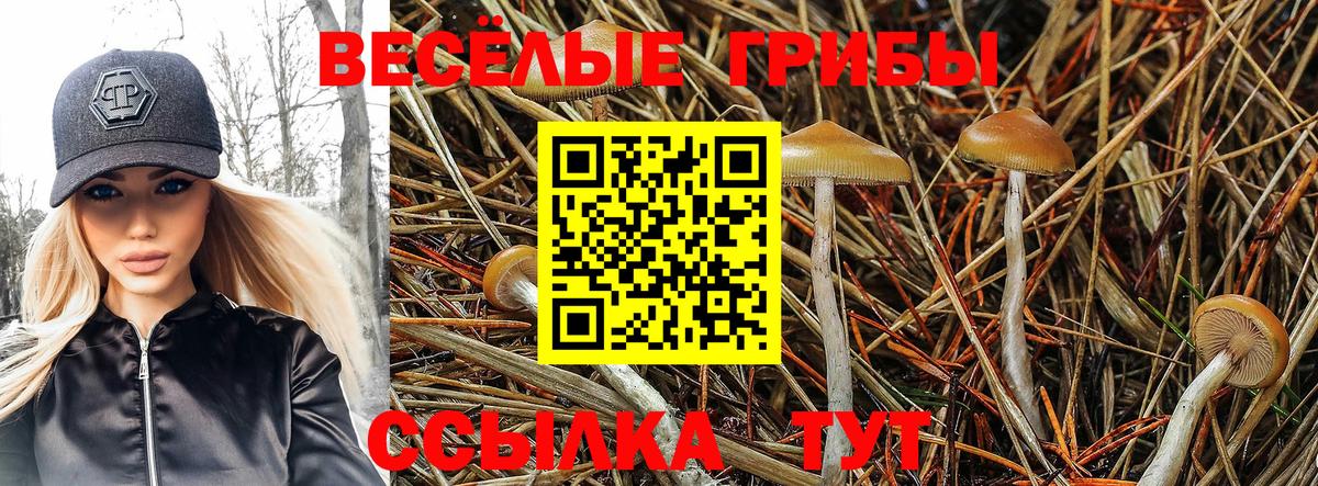 Псилоцибиновые грибы мухоморы Нефтекумск